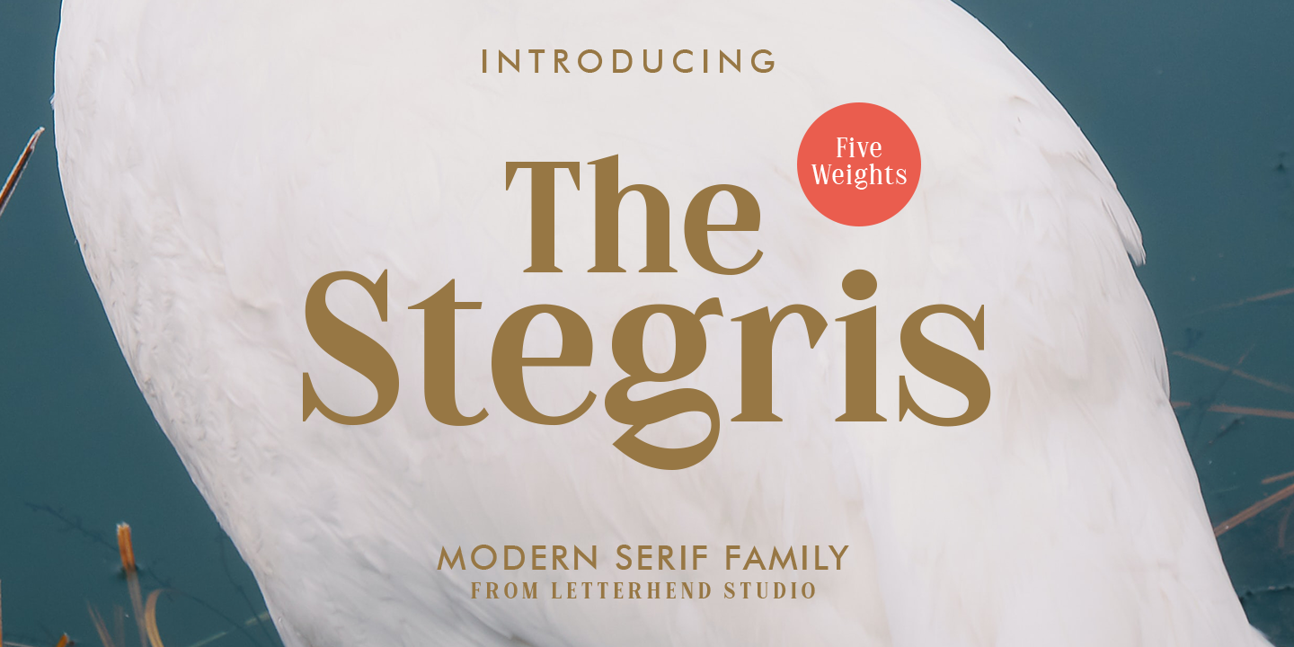 The Stegris Font preview